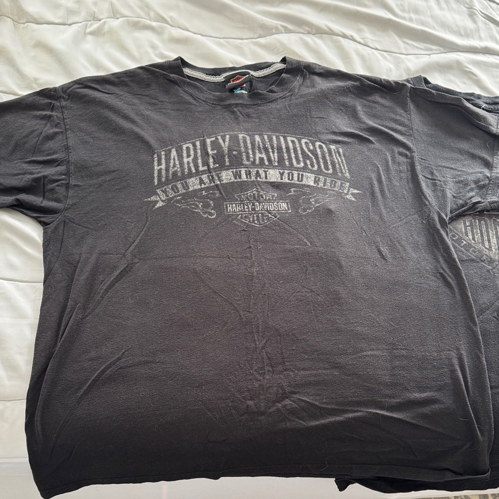 Harley-Davidson Black & Charcoal Trio Graphic Tees - Picture 2 of 8